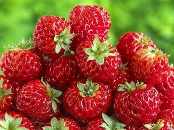(20kg) Fraises